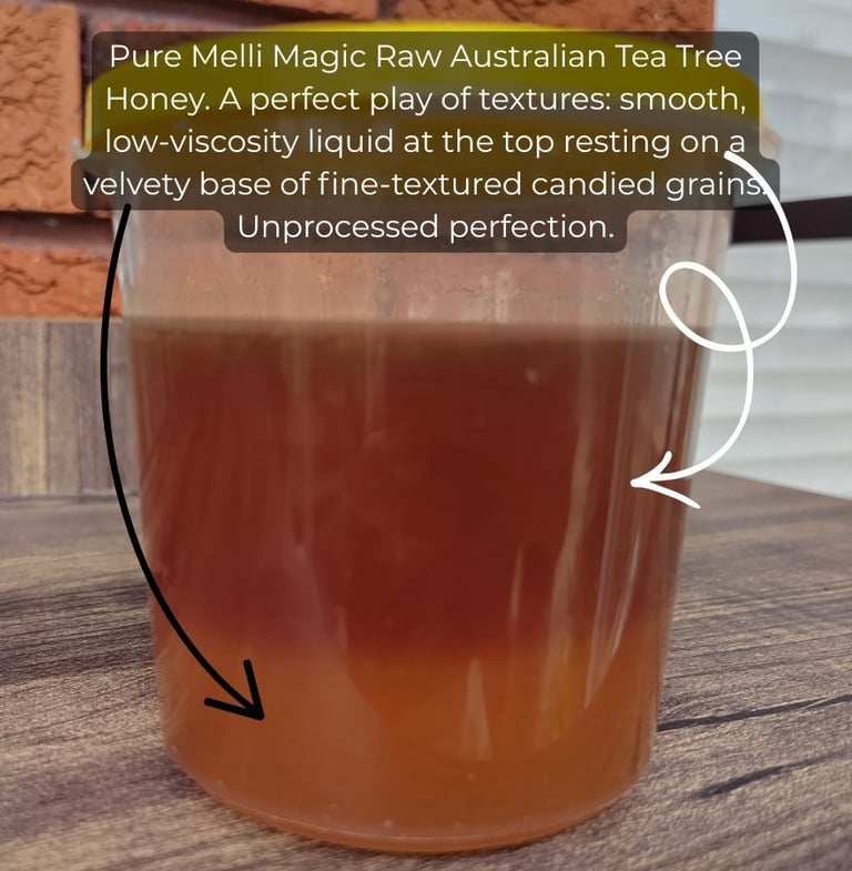 Melli Magic raw Australian tea tree honey showing a smooth liquid top over a velvety candied base.