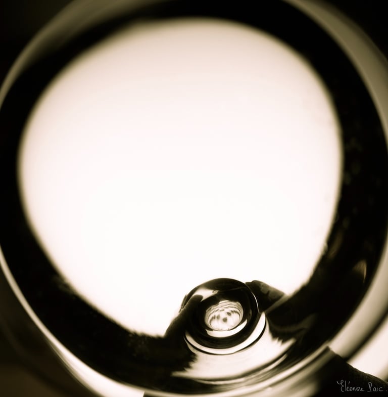 Verre de vin blanc en transparence rétroéclairé