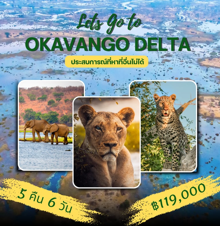 Okavango Delta Tour