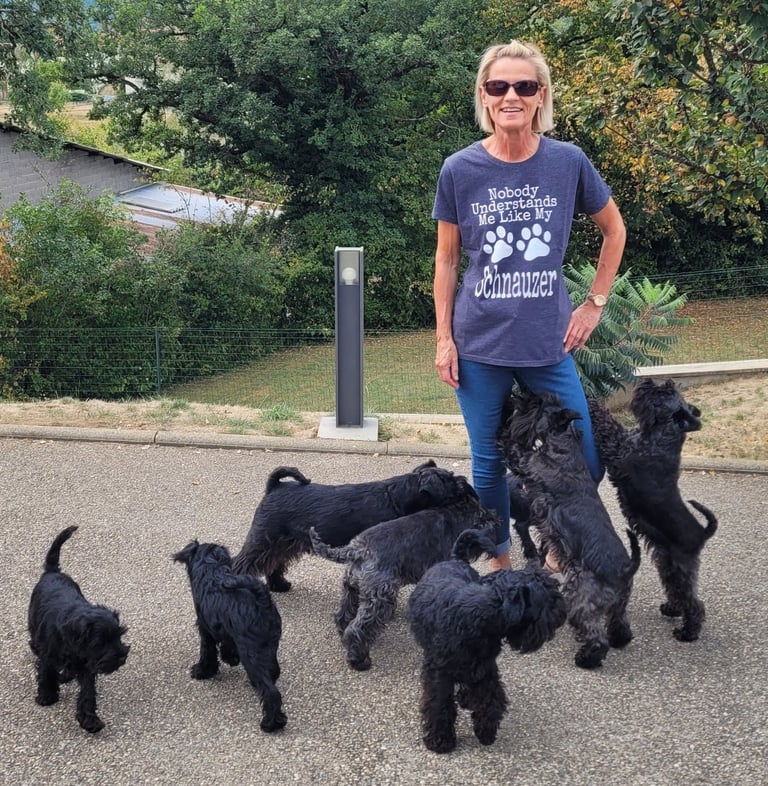 Éleveuse de Schnauzers miniatures