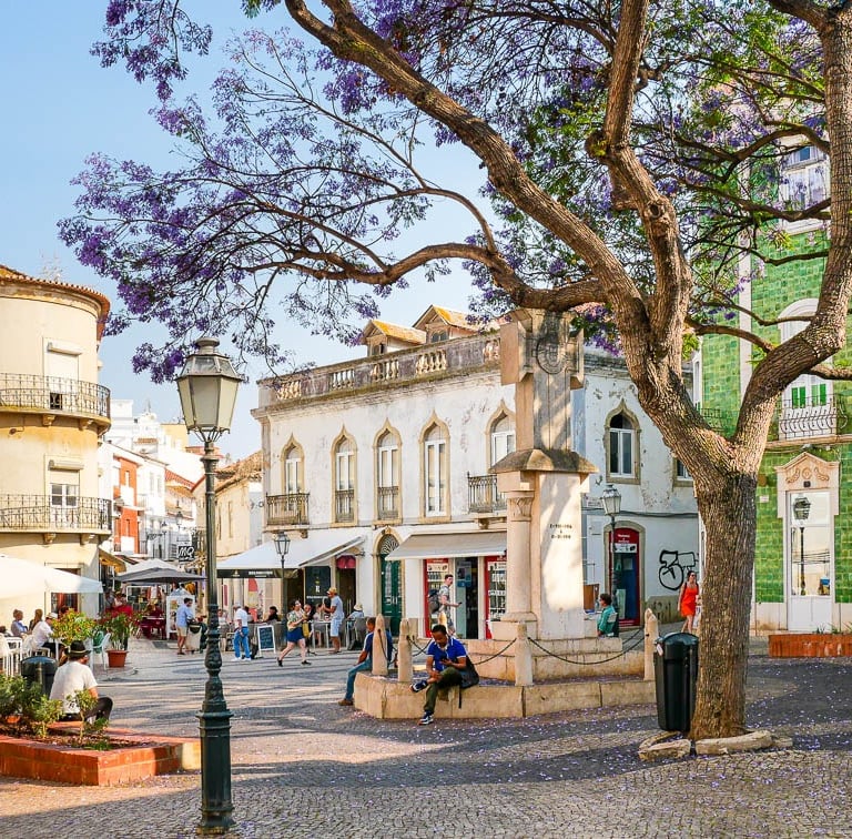 Sunny public square in Portugal featuring blooming jacaranda trees and historic tiled buildings.