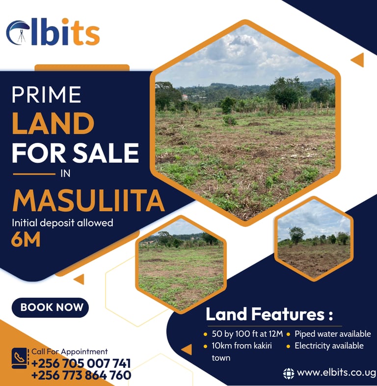 Land for sale in Masulita