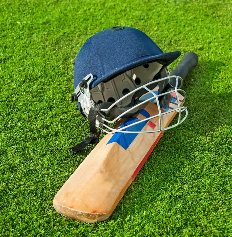 a cricket helment and willow cricket bat on the grass