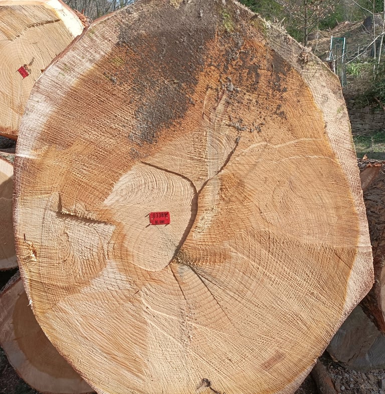 Eighty rings or more