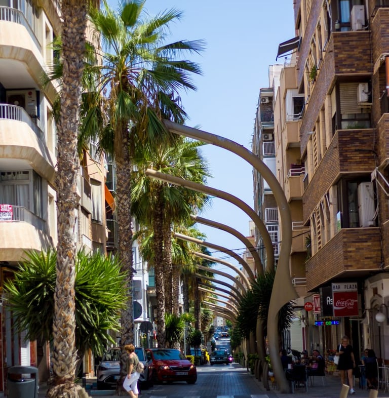 a street scene with palm trees and a man on a skateboard