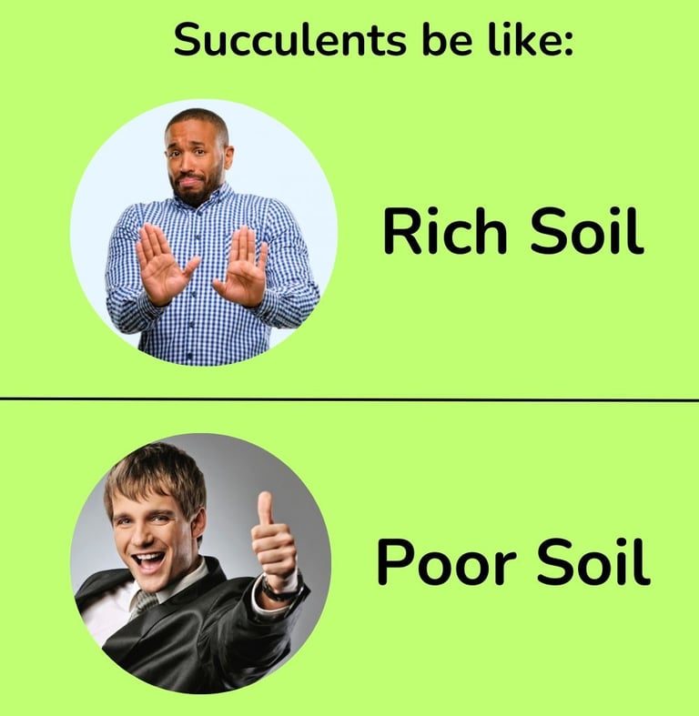 an image that shows that succulents dont like rich soil