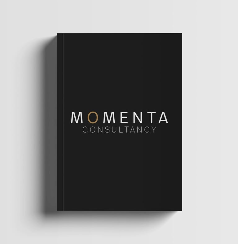 Momenta Consultancy - B2B Creative Solutions - The Netherlands