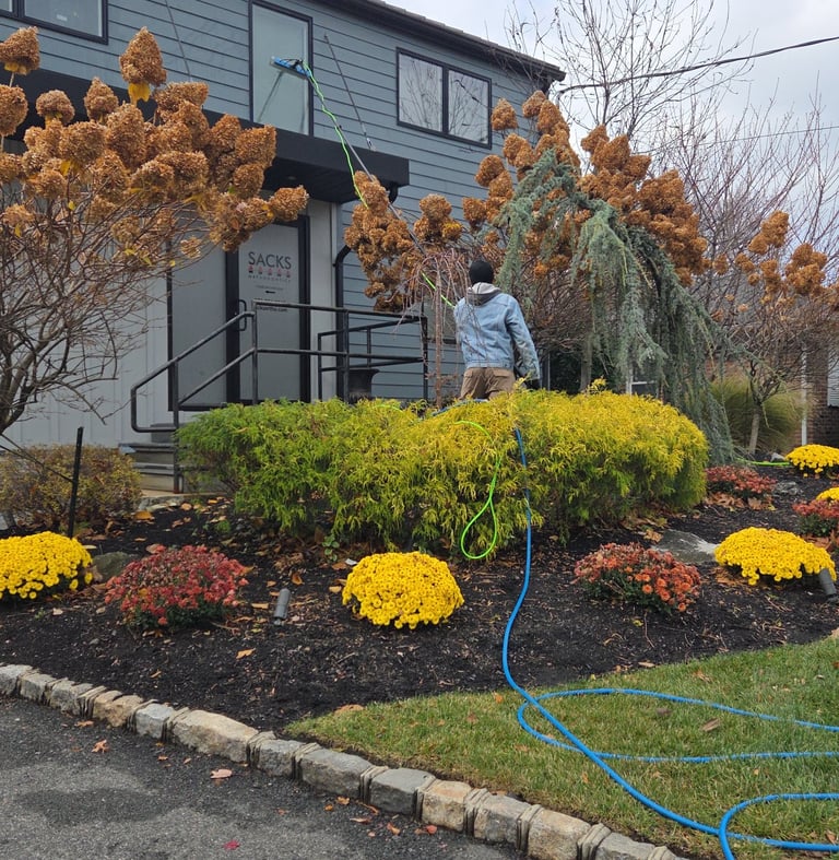 Professional exterior window cleaning