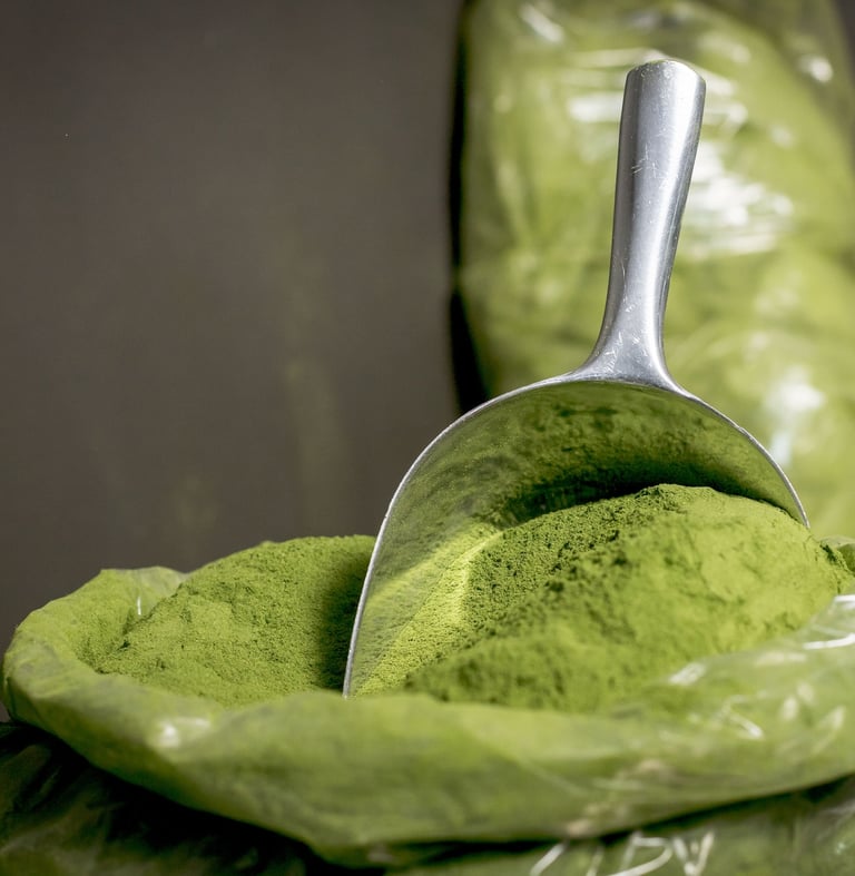 Moringa leaf powder