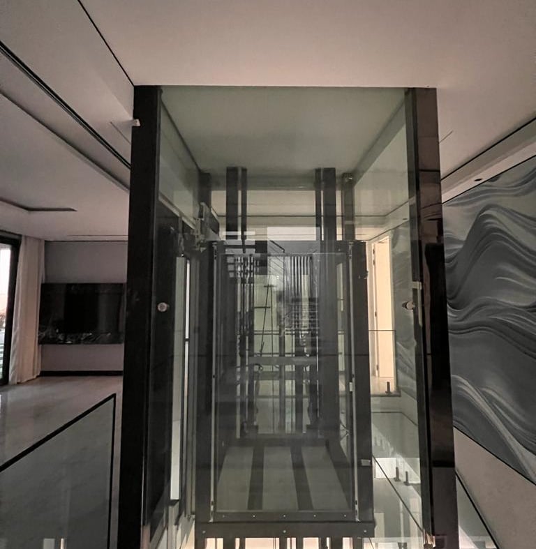 Modern residential panoramic lift with structural steel frame and tempered glass walls.