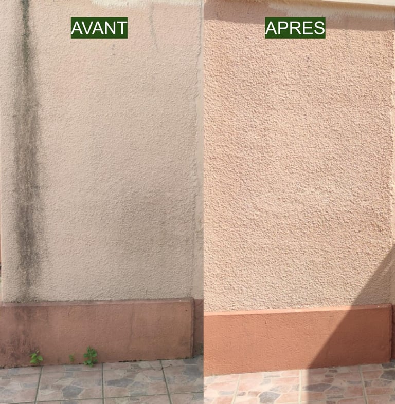 nettoyage façade maison 94