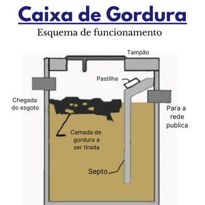 caixa de gordura