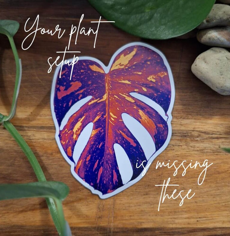 colorful monstera leaf sticker on wood surface with indoor plants plant lover aesthetic decor