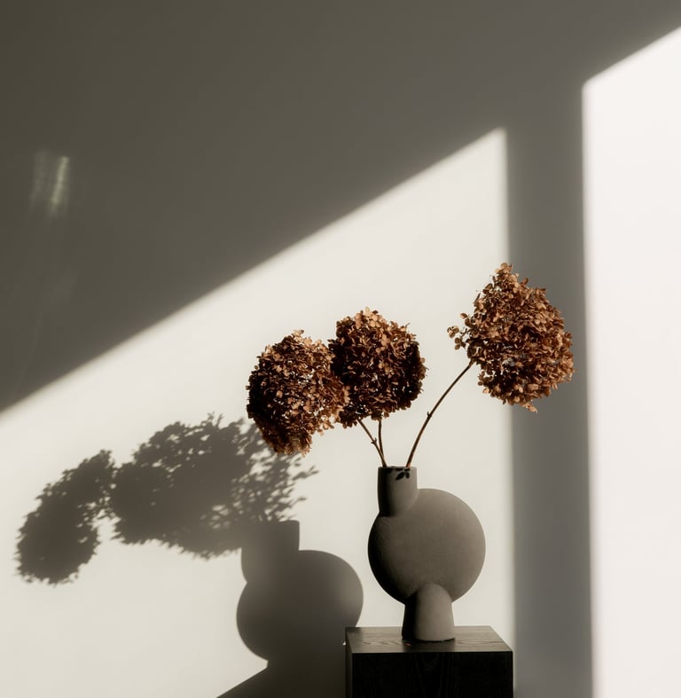 Dried brown hydrangea flowers in a modern ceramic vase on a black pedestal with sunlight and shadows.