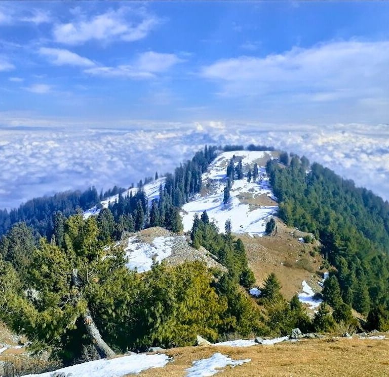 Mushkpuri top full view