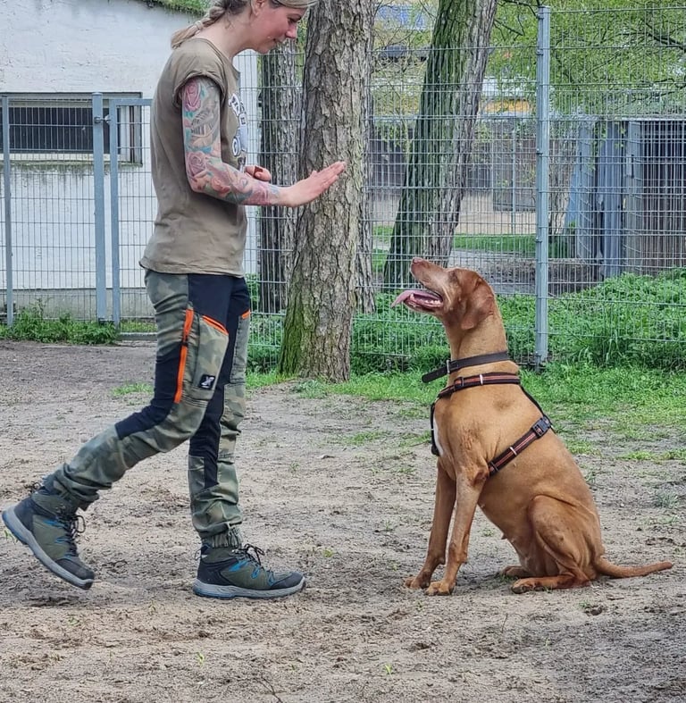 Einzeltraining |  Susanne Scholl im Training 
