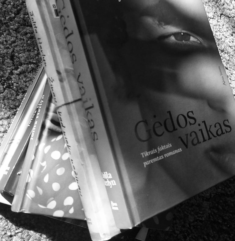 Jolita Herlyn Gėdos vaikas recenzija Gabija Barišauskaitė