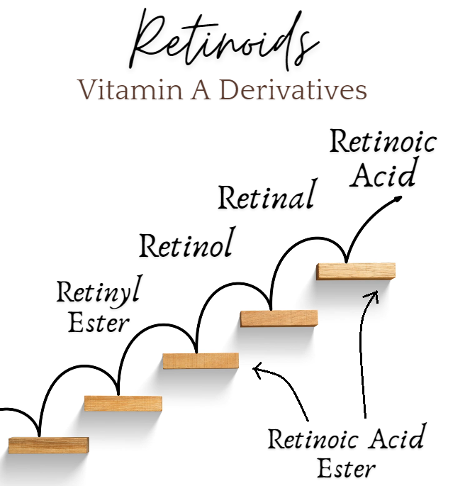 the hierarchy of retinoids, vitamin A derivatives, classes of retinols retinoids
