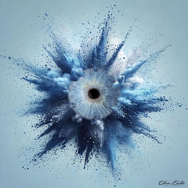 Iris Artistique Bleu