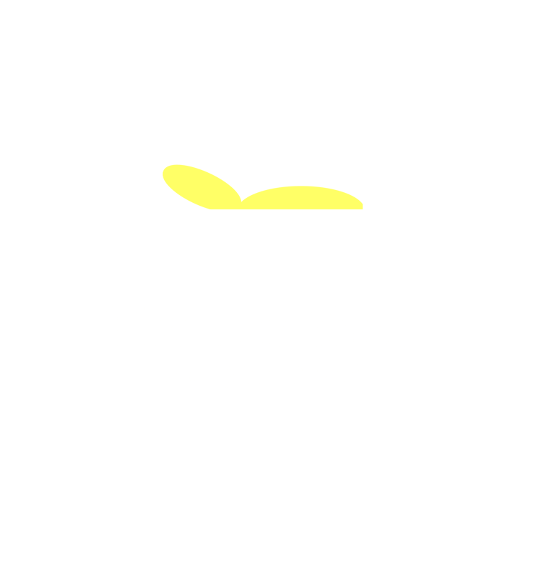 The bed shed nz making every mattress a dream