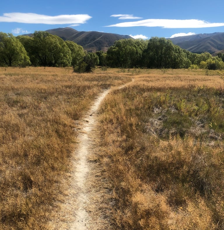 Peaceful pathway representing personal yoga journey in Castlegar BC