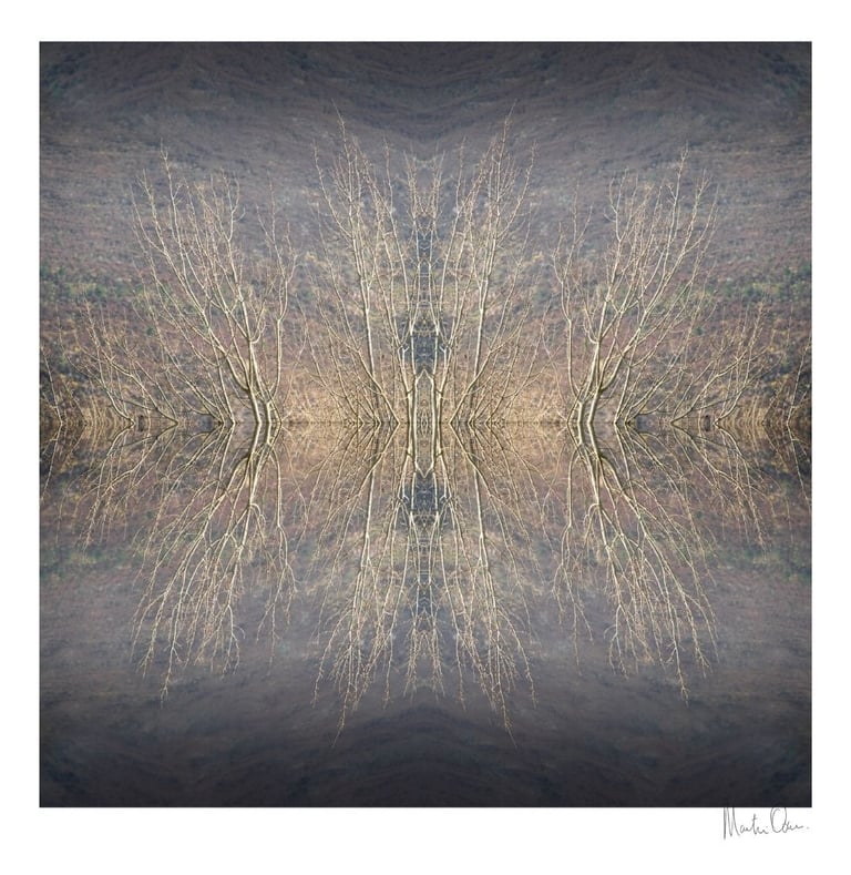 Abstract photographic collage of mirrored trees forming a symmetrical island reflection in soft neutral tones