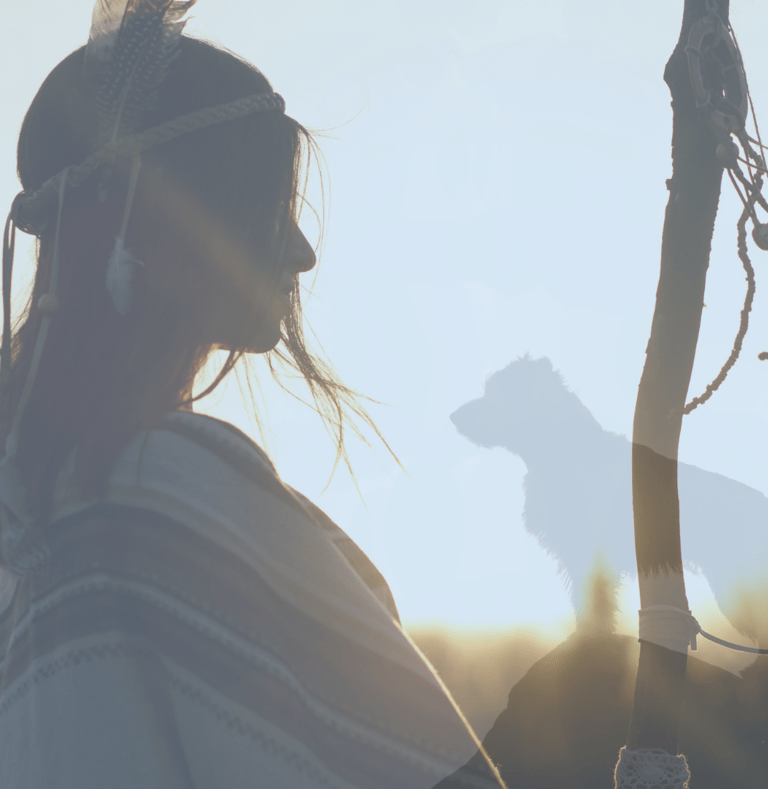 a woman in a native american indian headdress