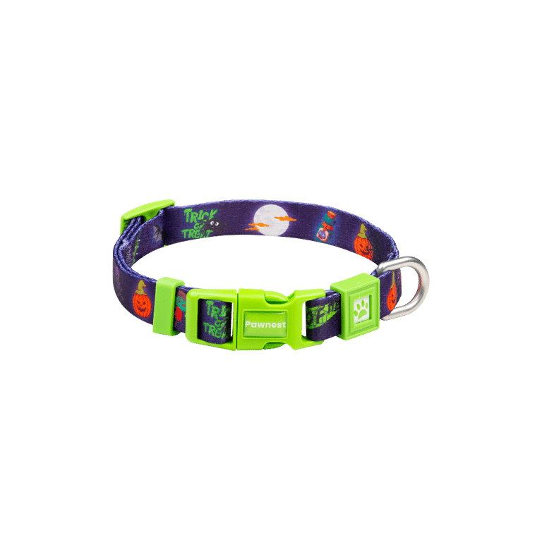 Pawnest® Spoo-Woofy dog collar – Halloween-themed green buckle, durable and stylish.