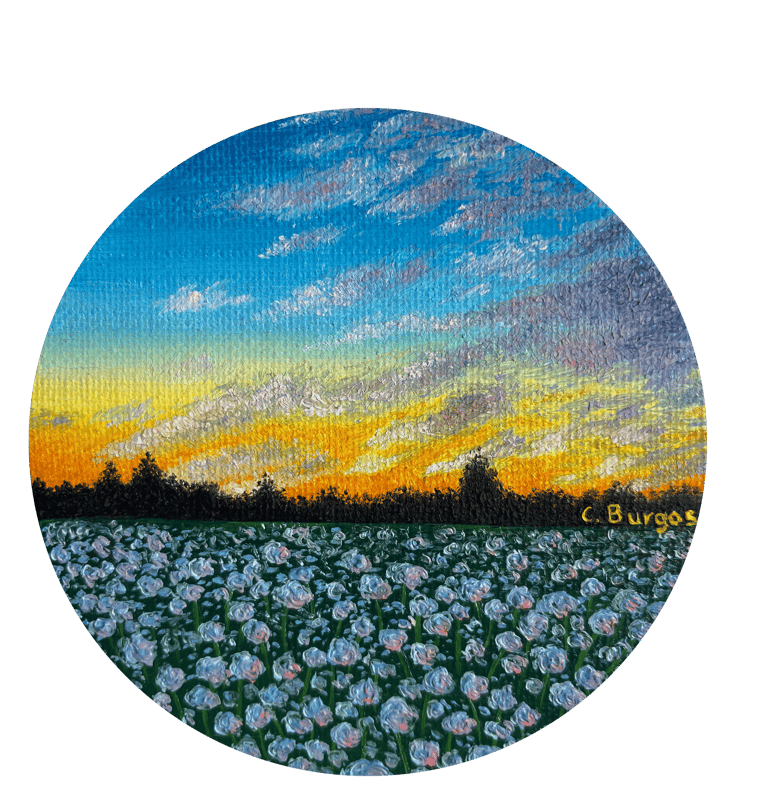 Atardecer en el campo