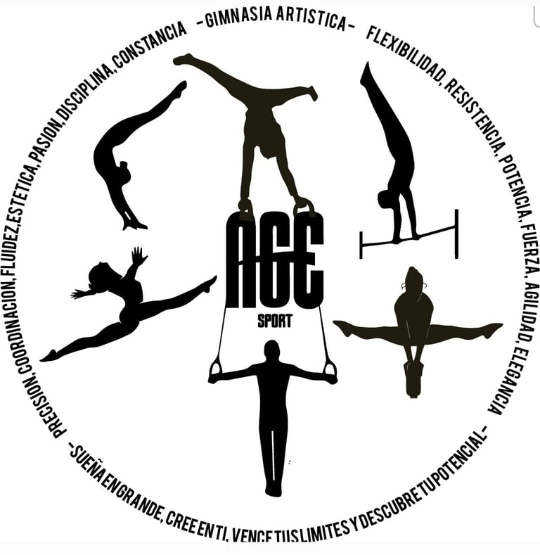 escuela gimnasia artistica deportiva navarra