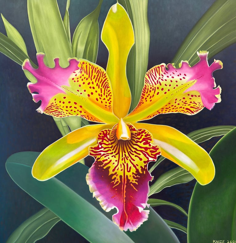 Beautiful Yellow Orchid