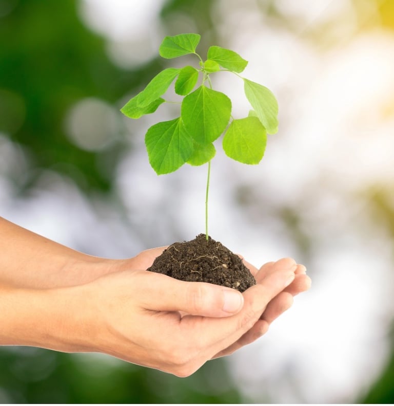 Touch and the 4 elements