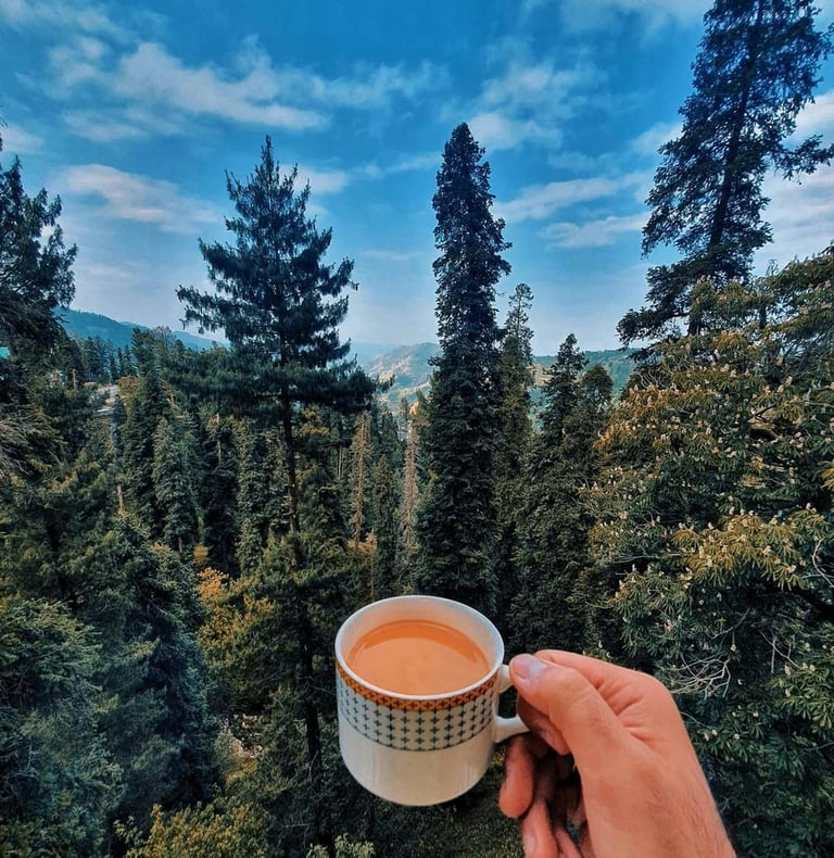 natia gali and ayubia national park