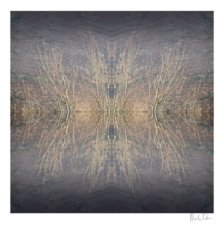 Abstract photographic collage of mirrored trees forming a symmetrical island reflection in soft neutral tones