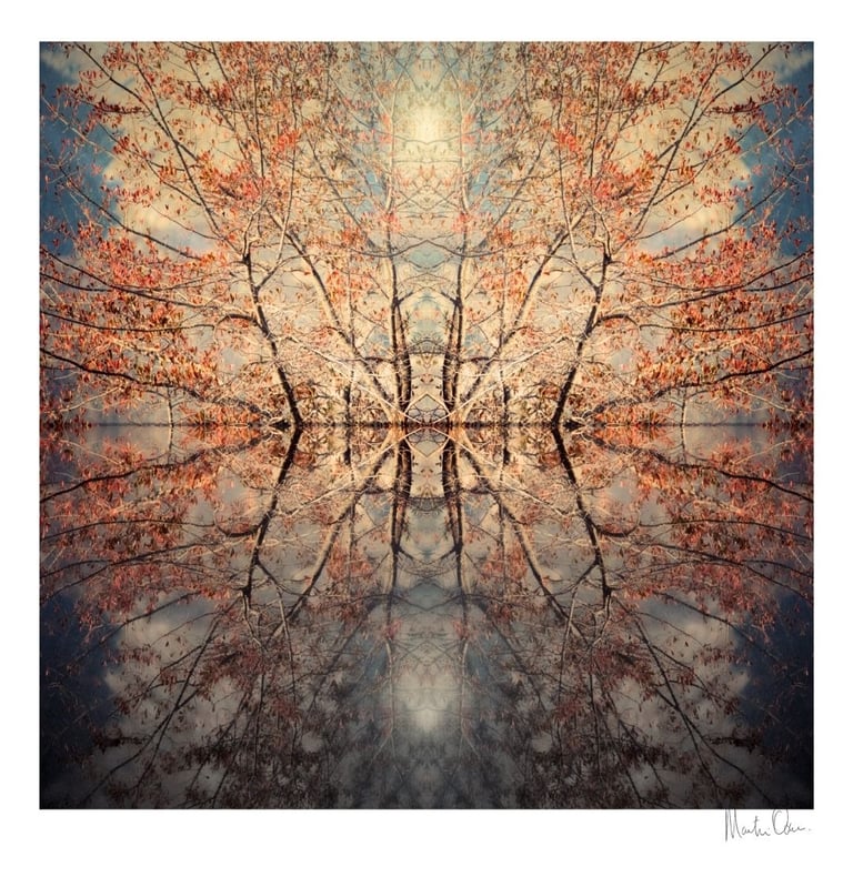 Abstract photographic collage of mirrored autumn trees with warm tones creating a reflective island-like composition