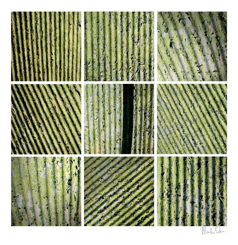 Abstract photographic collage of green linear patterns inspired by nature, forming a rhythmic and structured composition