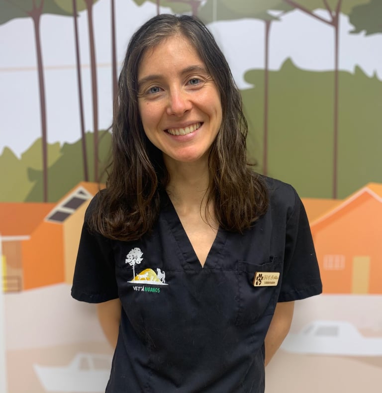 nac nouveaux animaux de compagnie vétérinaire