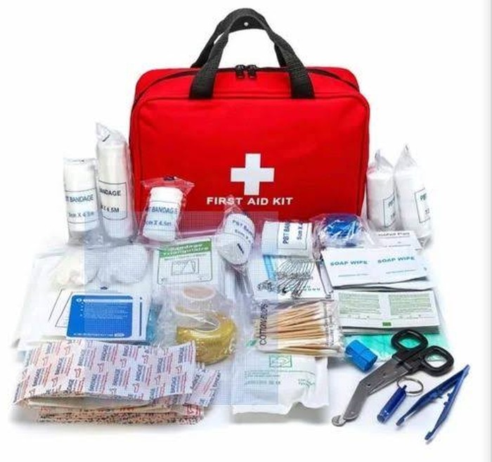 Use of Medical (or First Aid) Kits for Travel - A Summary!