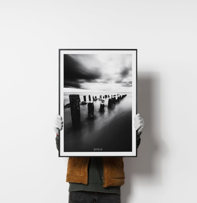 Cadre Nielsen Alpha tirage hahnemülhe