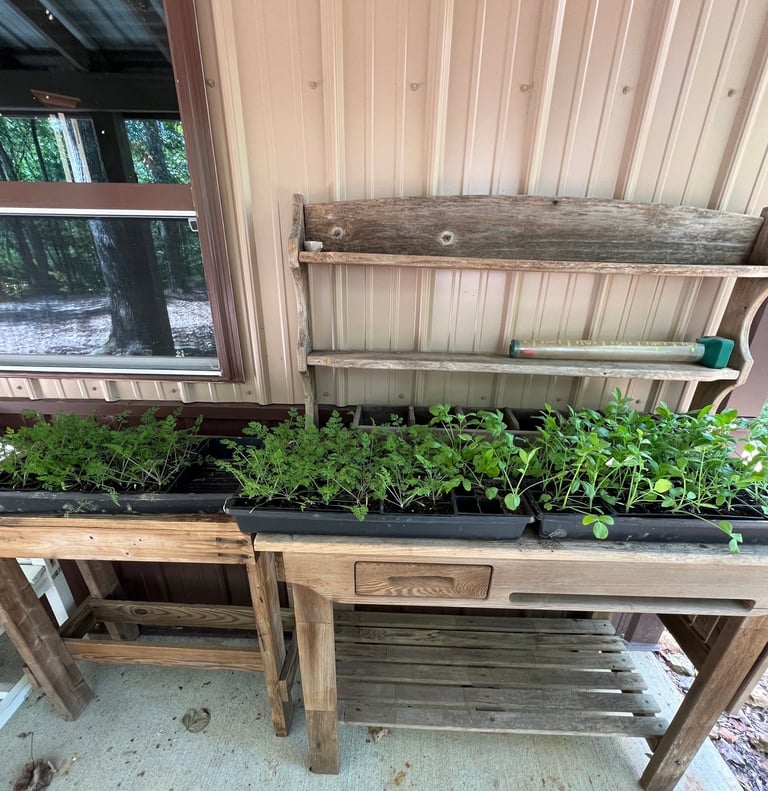 Ammi & Orlaya getting ready to go into field.