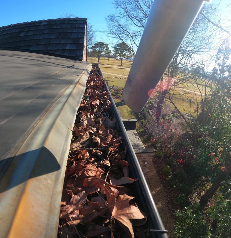 Leaves in gutters