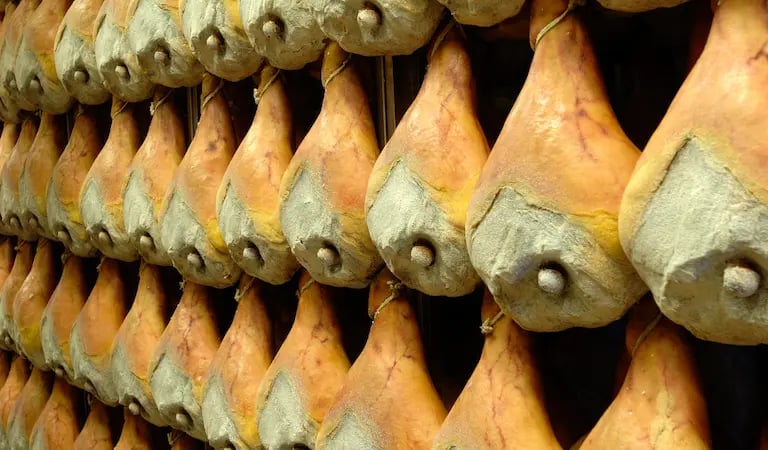 prosciutto curdo of Montagnana, Veneto, Italy