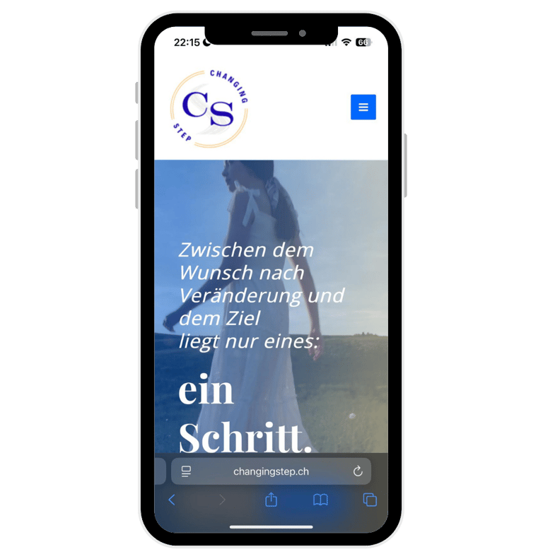 isviçre danışman web sitesi tasarımı
