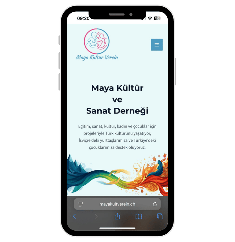 isviçre dernek web sitesi tasarımı