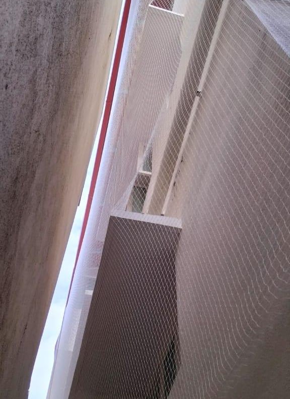 best anti pigeon nets in sarjapur road