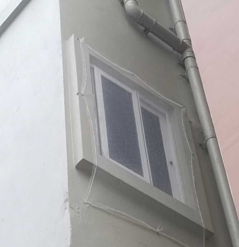 best anti pigeon nets in sarjapur road