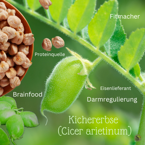 Kichererbse Brainfood