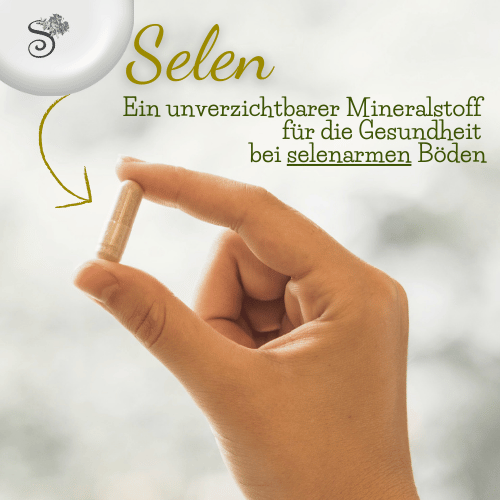 Selen - ein wichtiges Mineral. Sanapendium