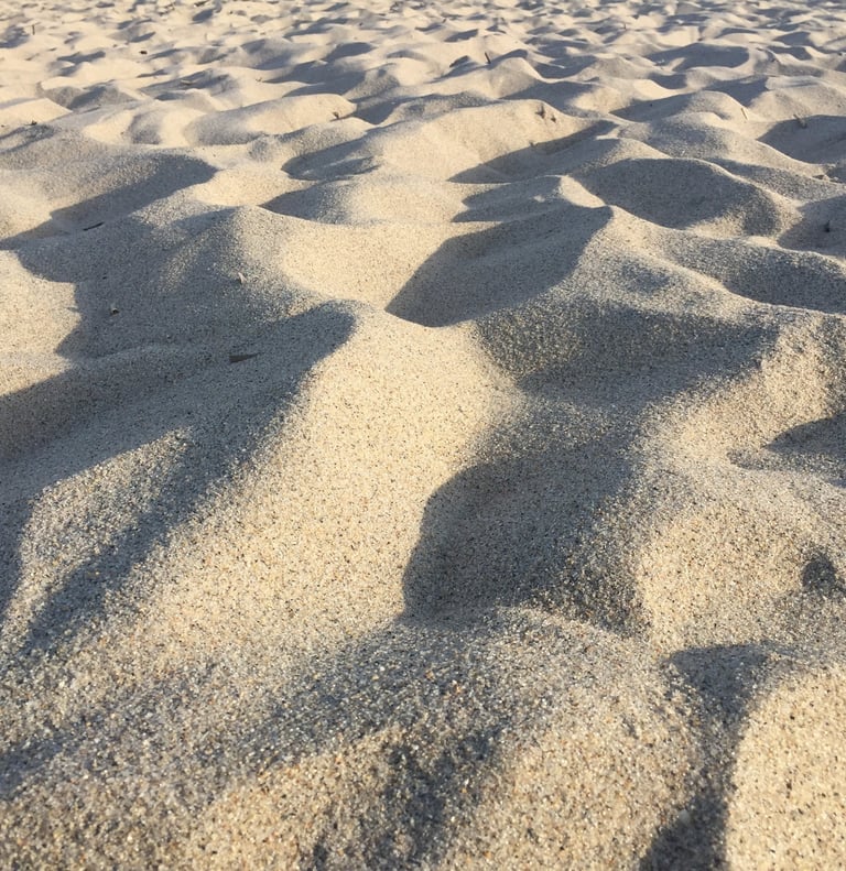 cape cod sand cape cod national seashore sand