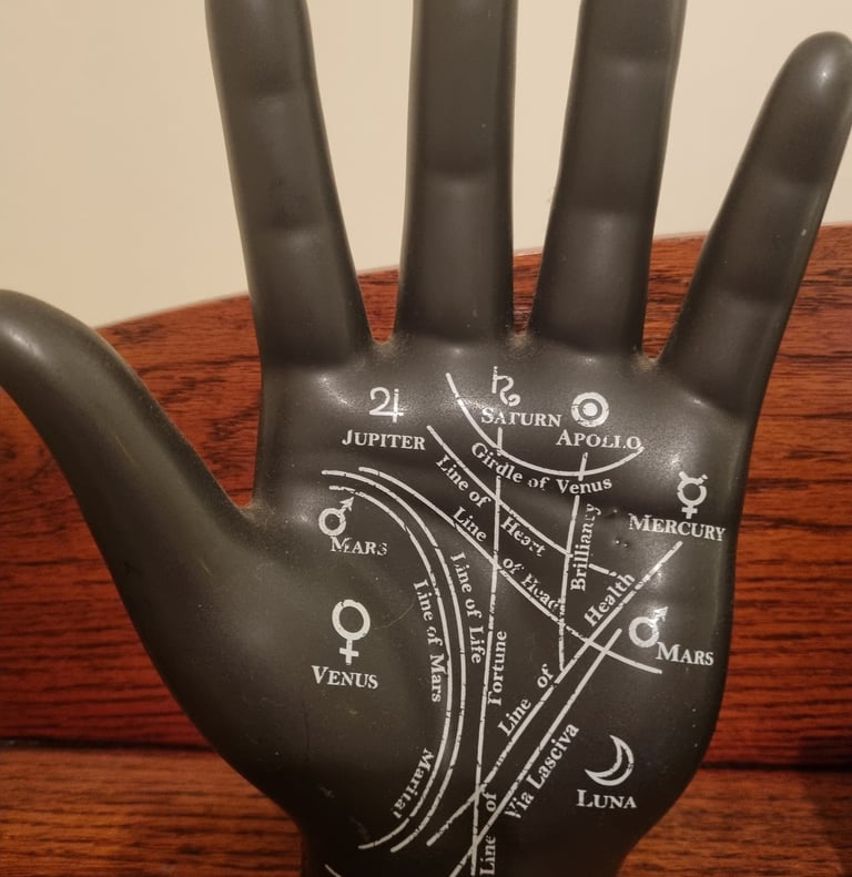 model of a palm showing the lines